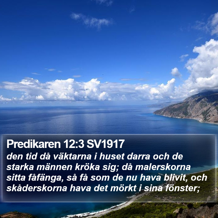 Predikaren 12:3 SV1917 Bible Study