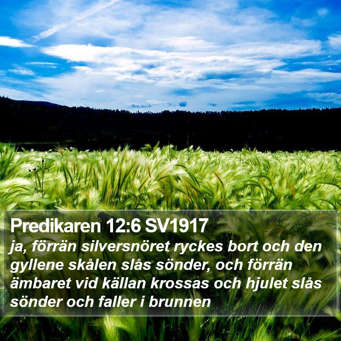 Predikaren 12:6 SV1917 Bible Study