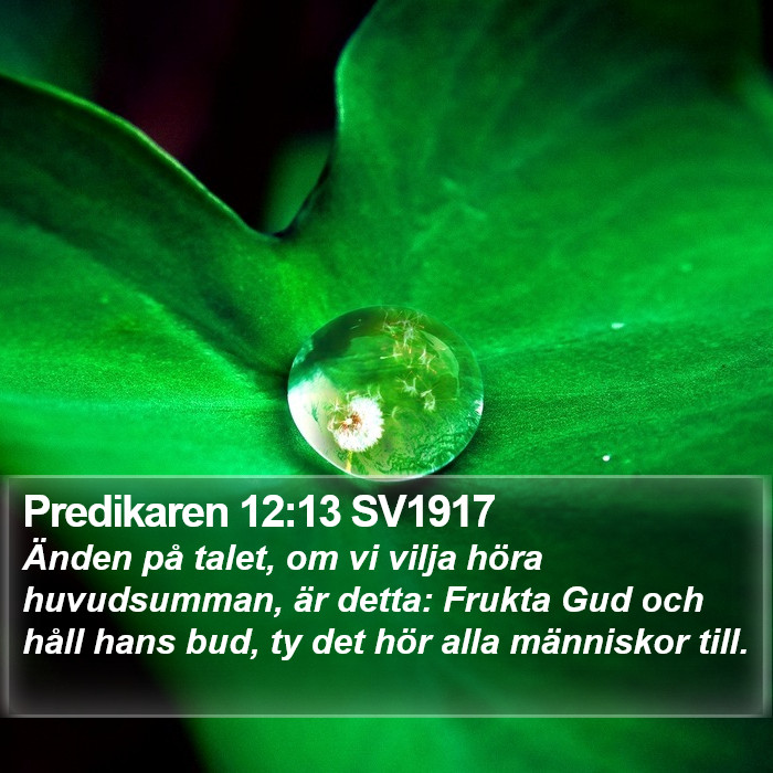 Predikaren 12:13 SV1917 Bible Study