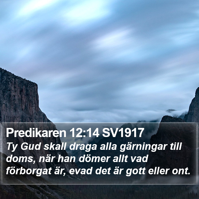 Predikaren 12:14 SV1917 Bible Study