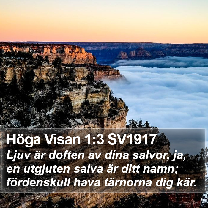 Höga Visan 1:3 SV1917 Bible Study