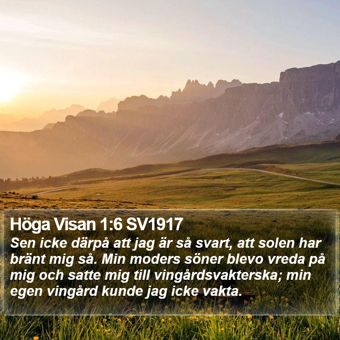 Höga Visan 1:6 SV1917 Bible Study