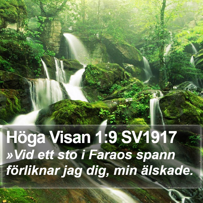 Höga Visan 1:9 SV1917 Bible Study