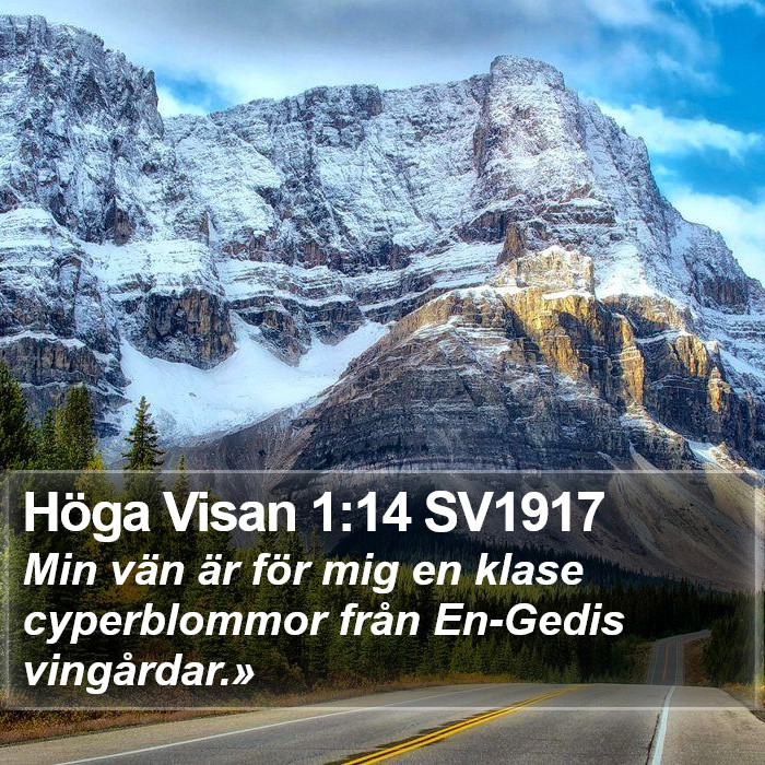 Höga Visan 1:14 SV1917 Bible Study