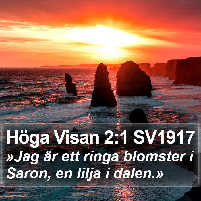 Höga Visan 2:1 SV1917 Bible Study