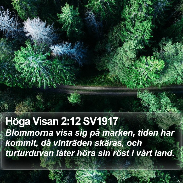 Höga Visan 2:12 SV1917 Bible Study