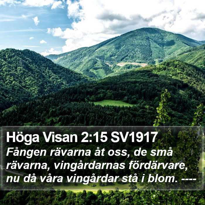 Höga Visan 2:15 SV1917 Bible Study