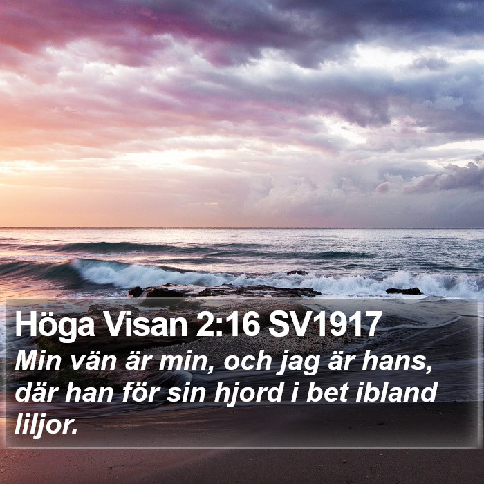 Höga Visan 2:16 SV1917 Bible Study