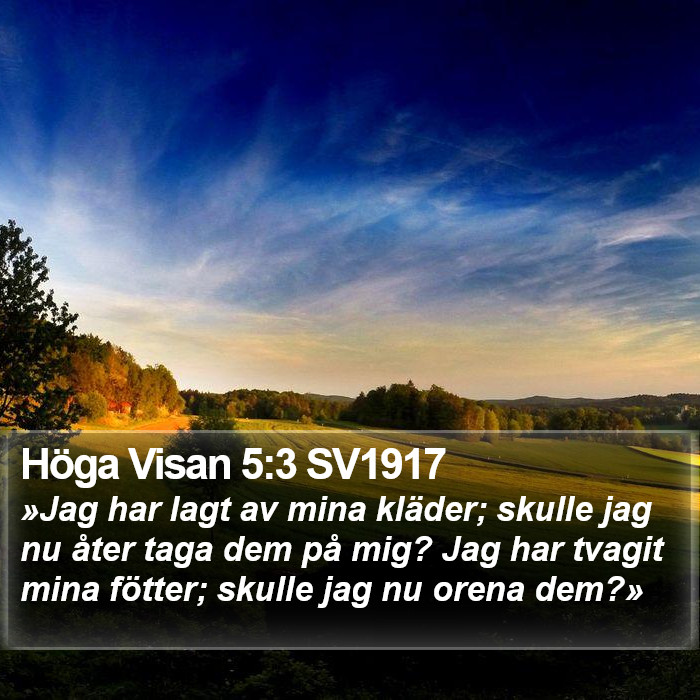 Höga Visan 5:3 SV1917 Bible Study