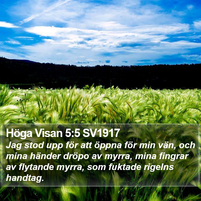 Höga Visan 5:5 SV1917 Bible Study