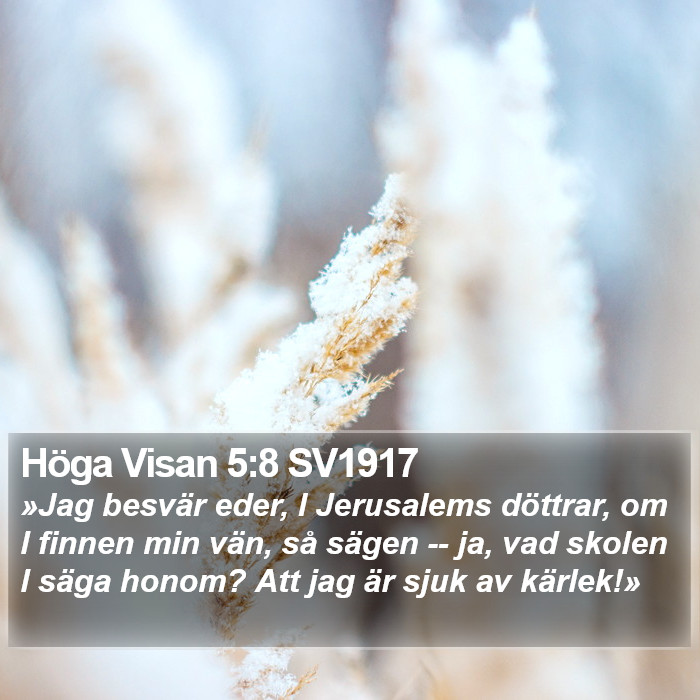 Höga Visan 5:8 SV1917 Bible Study