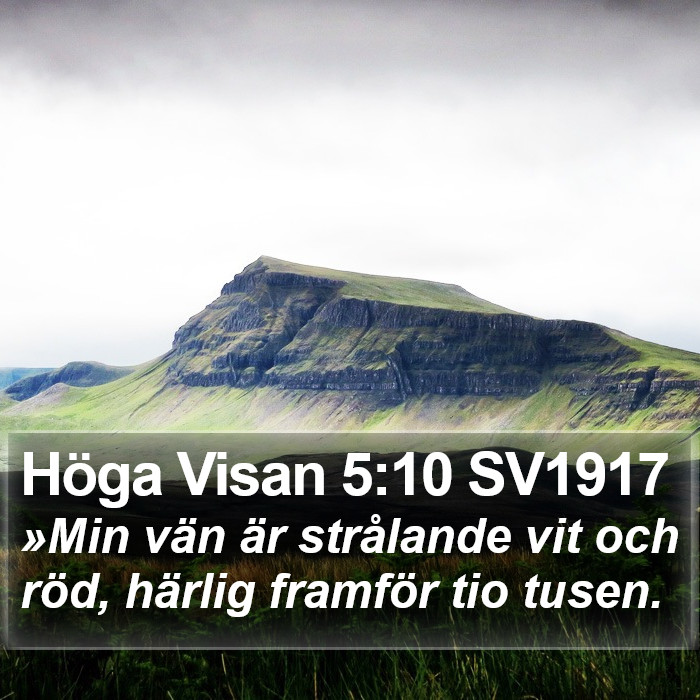 Höga Visan 5:10 SV1917 Bible Study