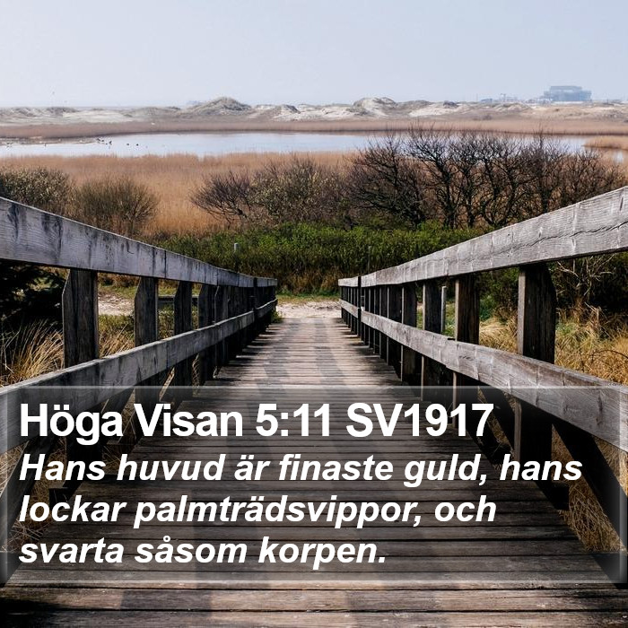 Höga Visan 5:11 SV1917 Bible Study