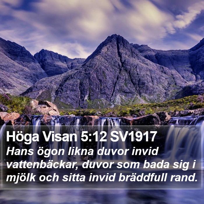 Höga Visan 5:12 SV1917 Bible Study