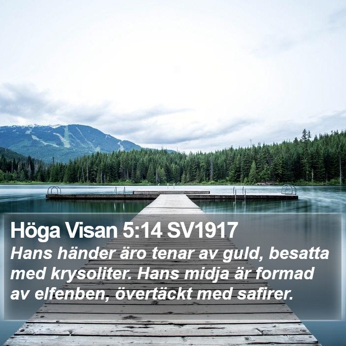 Höga Visan 5:14 SV1917 Bible Study