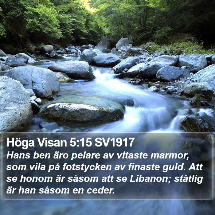 Höga Visan 5:15 SV1917 Bible Study