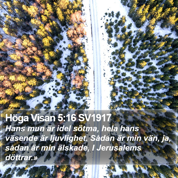 Höga Visan 5:16 SV1917 Bible Study