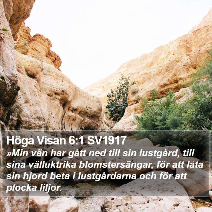Höga Visan 6:1 SV1917 Bible Study