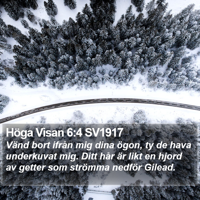 Höga Visan 6:4 SV1917 Bible Study