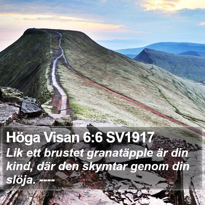 Höga Visan 6:6 SV1917 Bible Study