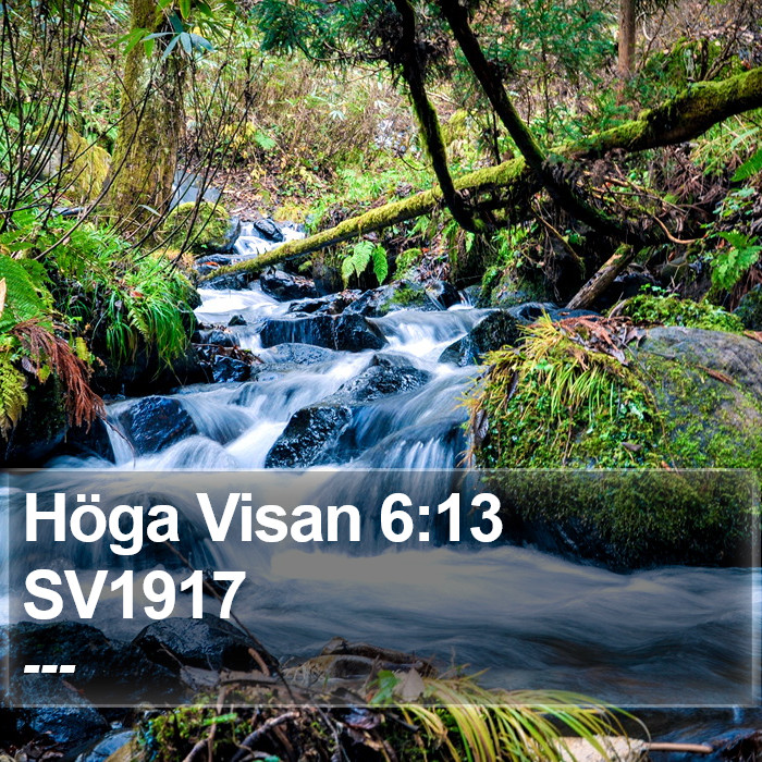 Höga Visan 6:13 SV1917 Bible Study