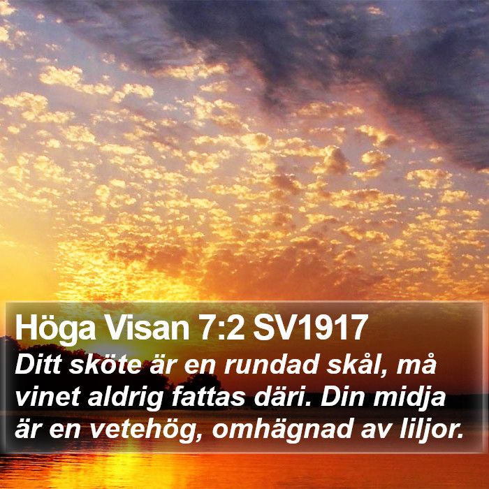 Höga Visan 7:2 SV1917 Bible Study