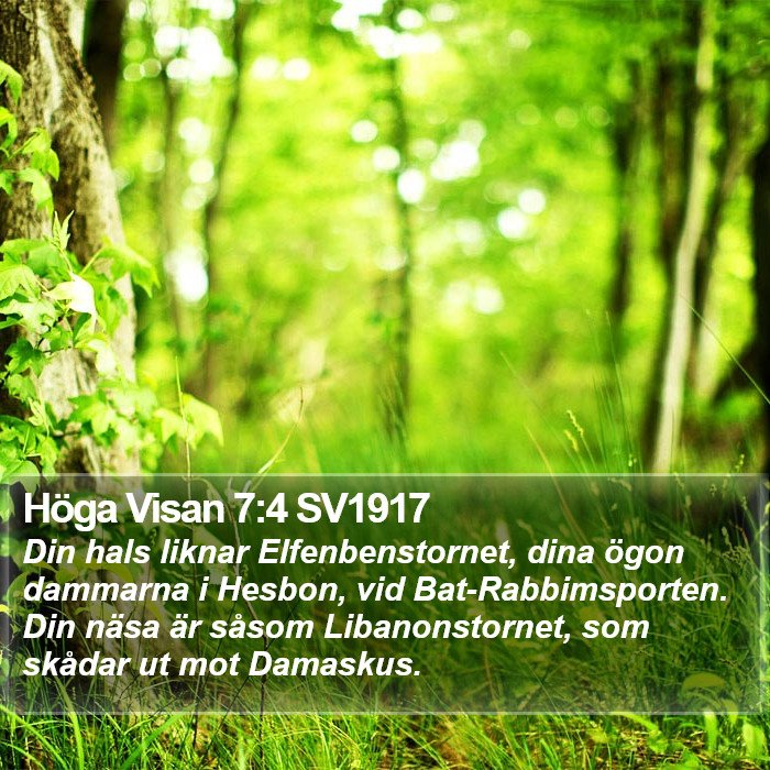 Höga Visan 7:4 SV1917 Bible Study