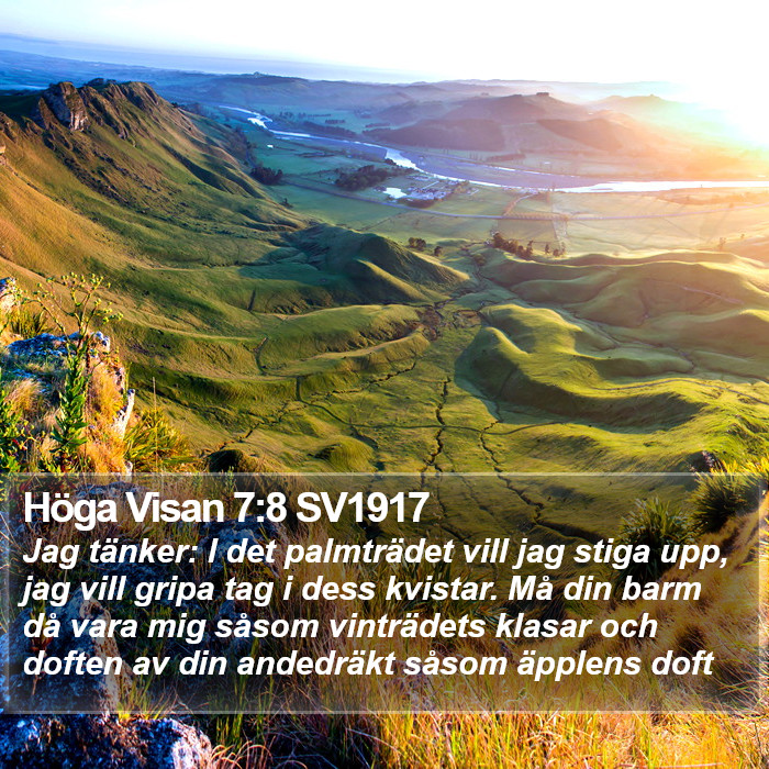 Höga Visan 7:8 SV1917 Bible Study