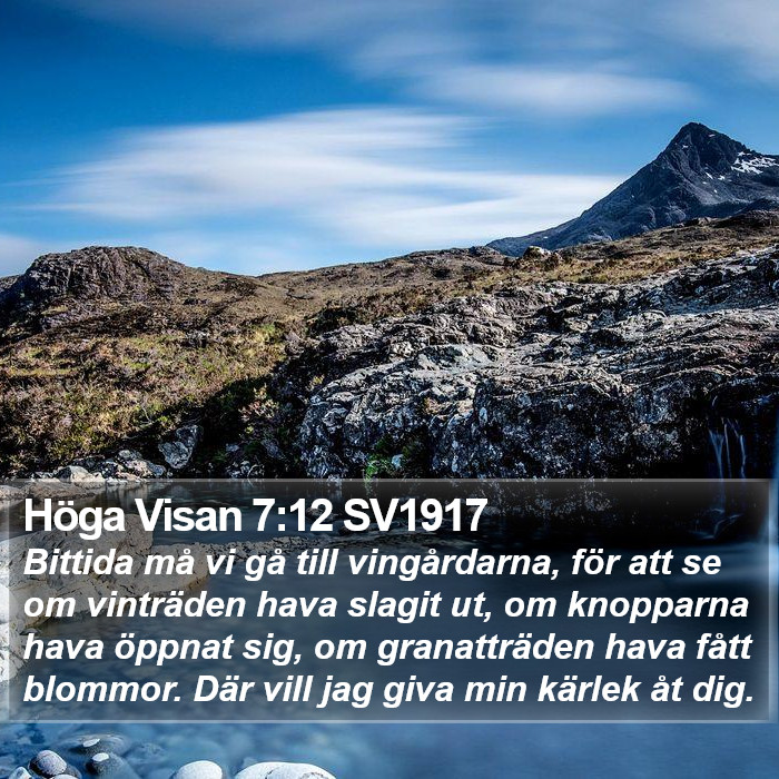 Höga Visan 7:12 SV1917 Bible Study