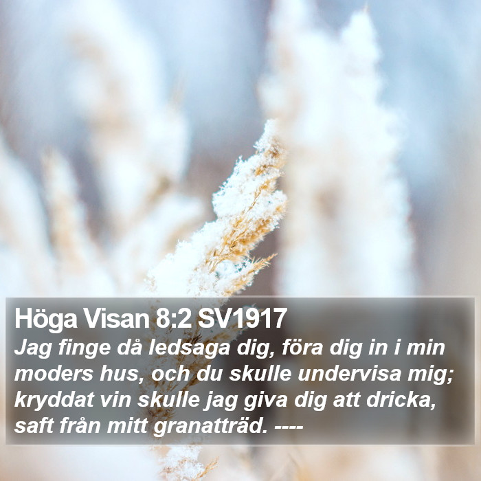 Höga Visan 8:2 SV1917 Bible Study