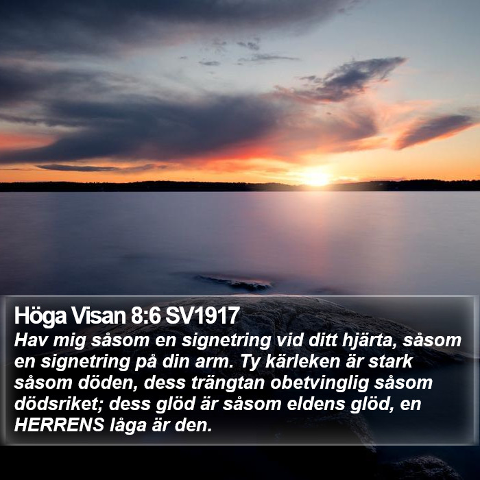 Höga Visan 8:6 SV1917 Bible Study