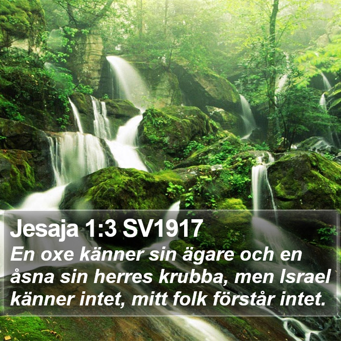 Jesaja 1:3 SV1917 Bible Study