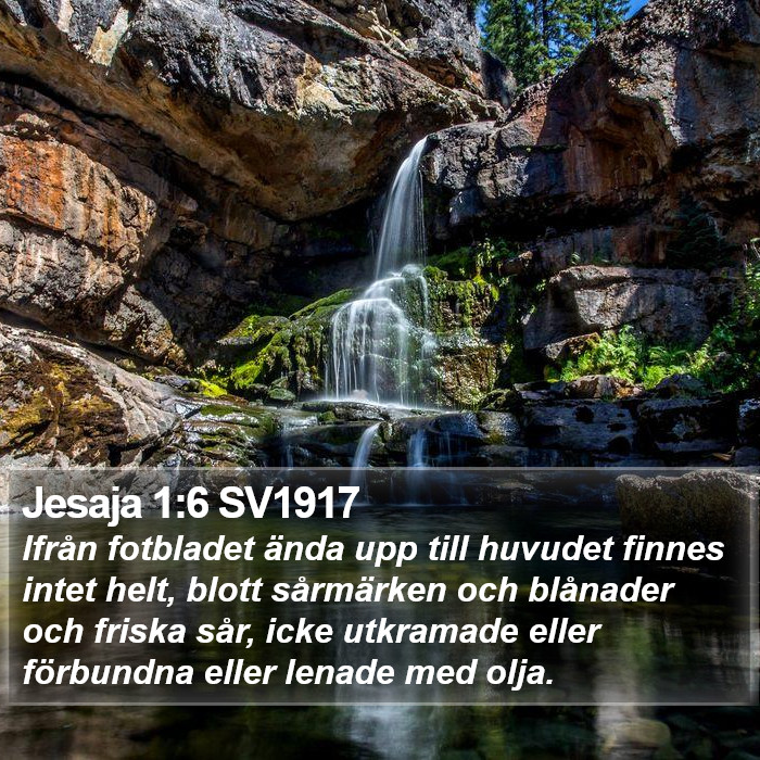 Jesaja 1:6 SV1917 Bible Study