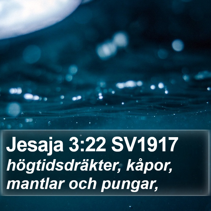 Jesaja 3:22 SV1917 Bible Study