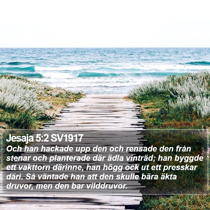 Jesaja 5:2 SV1917 Bible Study