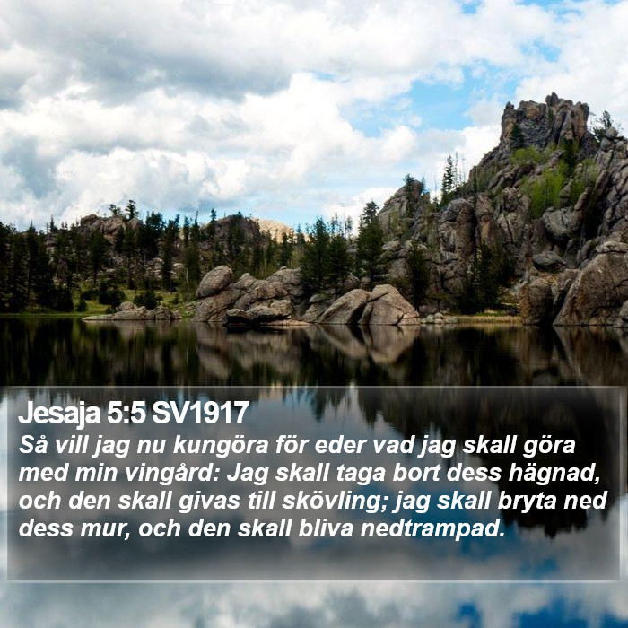 Jesaja 5:5 SV1917 Bible Study