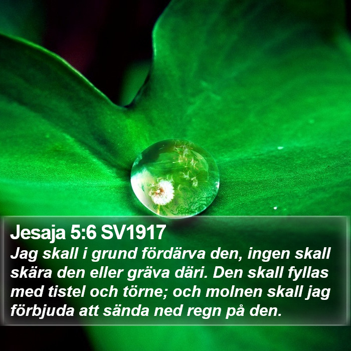 Jesaja 5:6 SV1917 Bible Study