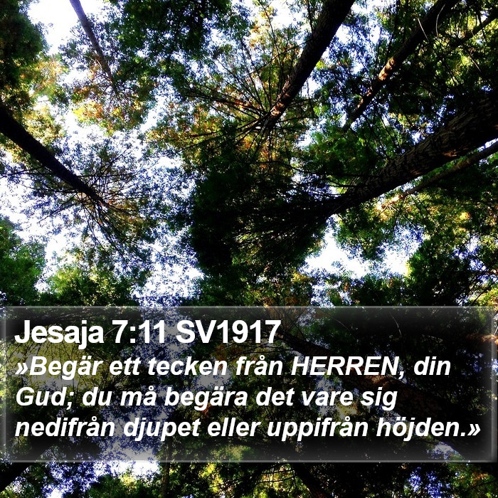 Jesaja 7:11 SV1917 Bible Study