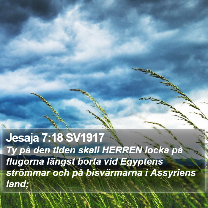 Jesaja 7:18 SV1917 Bible Study