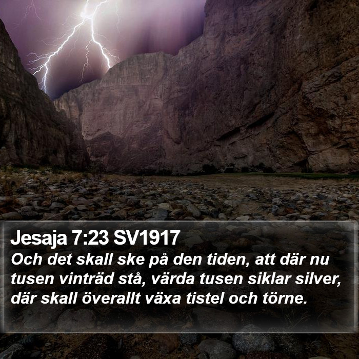 Jesaja 7:23 SV1917 Bible Study