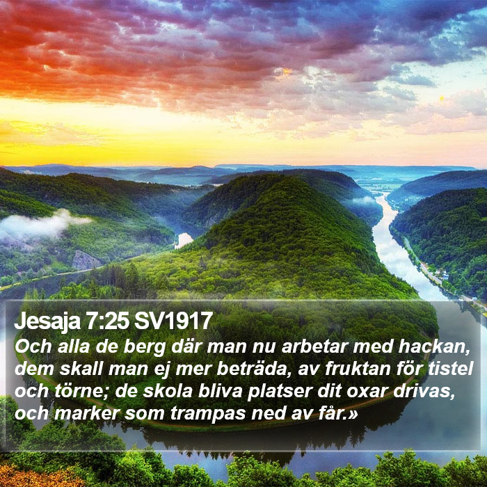 Jesaja 7:25 SV1917 Bible Study