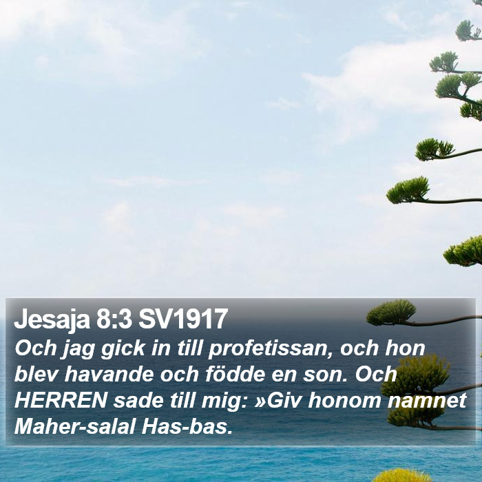 Jesaja 8:3 SV1917 Bible Study