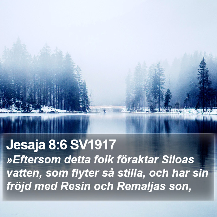 Jesaja 8:6 SV1917 Bible Study