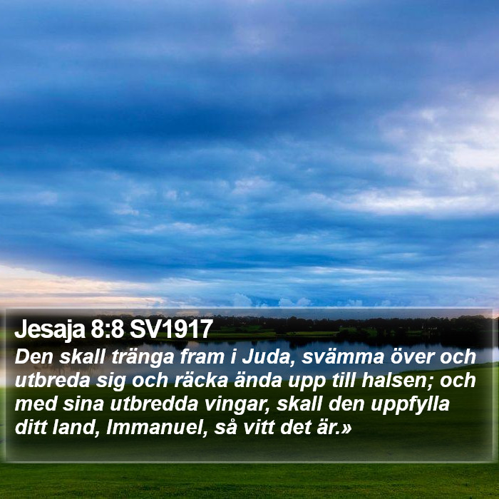 Jesaja 8:8 SV1917 Bible Study