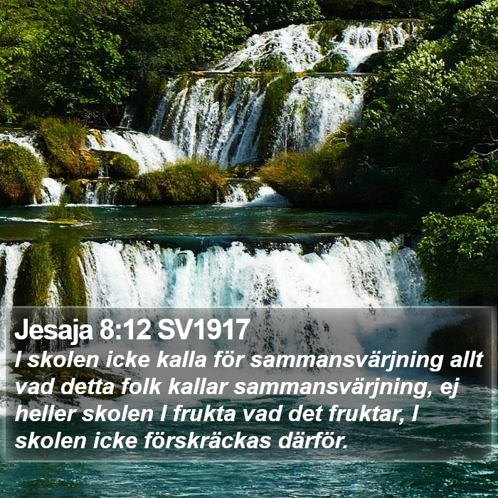 Jesaja 8:12 SV1917 Bible Study