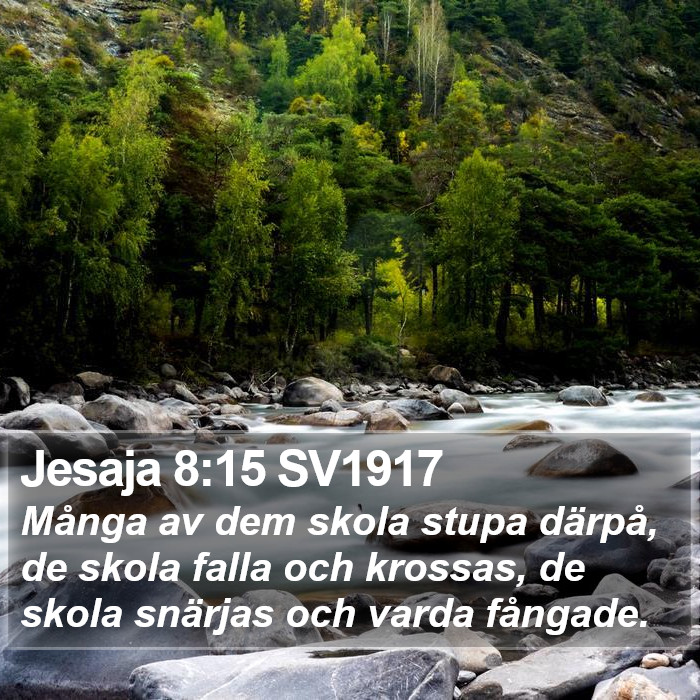 Jesaja 8:15 SV1917 Bible Study