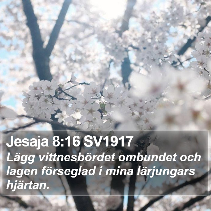Jesaja 8:16 SV1917 Bible Study
