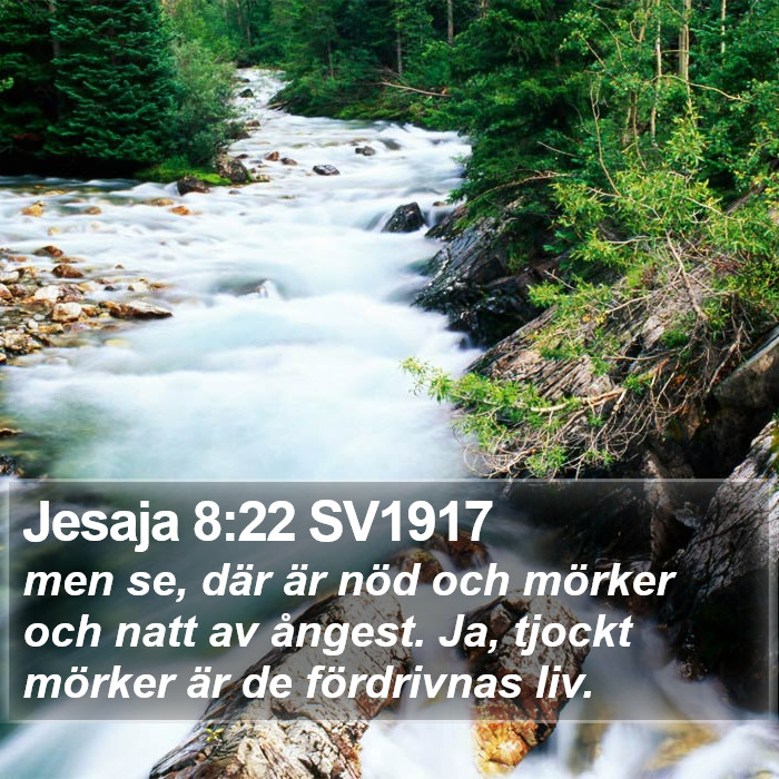 Jesaja 8:22 SV1917 Bible Study