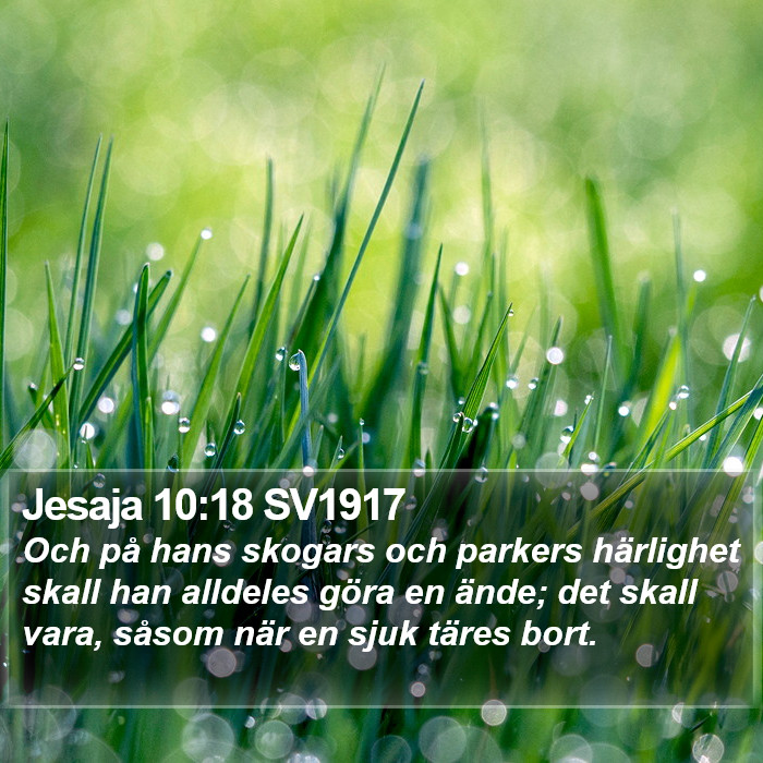 Jesaja 10:18 SV1917 Bible Study