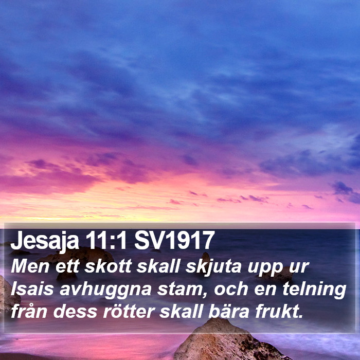 Jesaja 11:1 SV1917 Bible Study